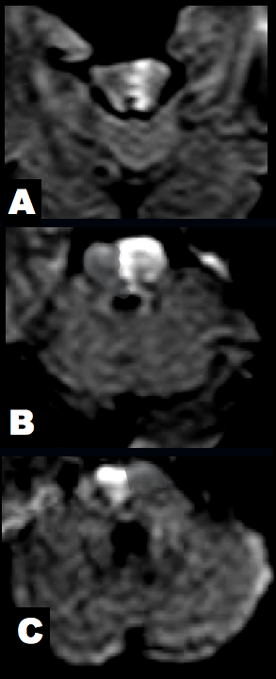 Figure 3. 