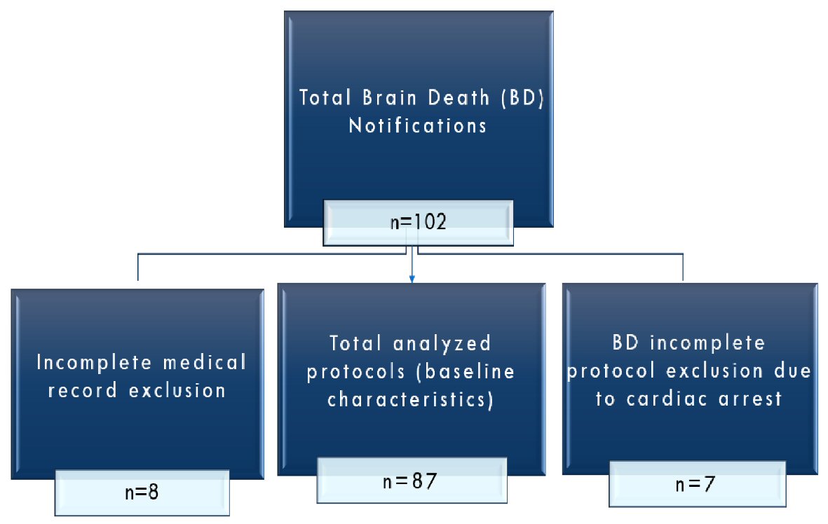 Apnea Testing During Brain Death Assessment: A Review of Clinical Practice  and Published Literature